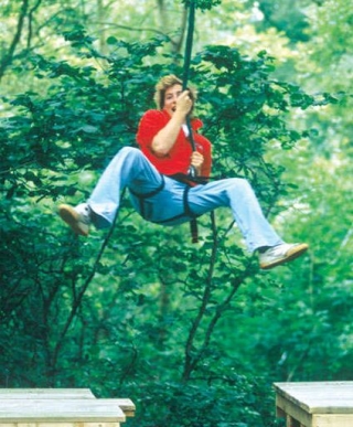Swinging the Trees 